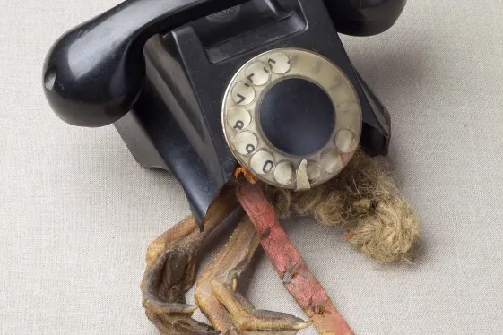 Erna Rosenstein, Telefon Assemblage
