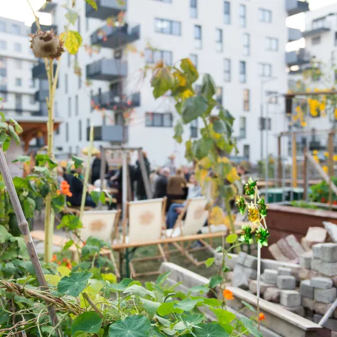 Plants in front of a residential building