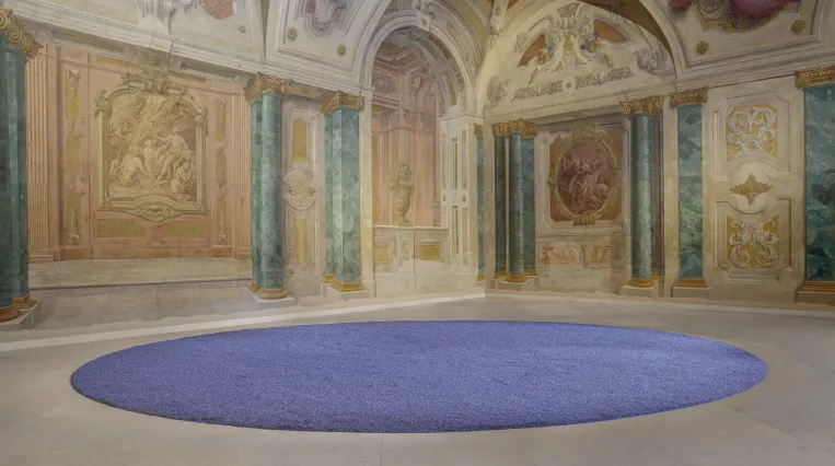 Installationsansicht CARLONE CONTEMPORARY: herman de vries. 108 pfund lavendel