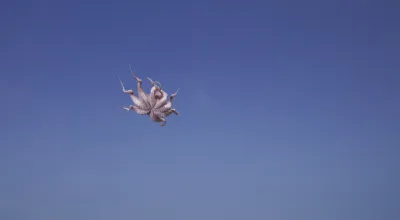 Asta Gröting, Things, 2018, Videostill, 4K UHD-Video mit Ton, 6:32 min
