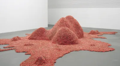 Ernesto Neto